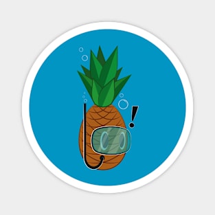 The Pineapple Magnet